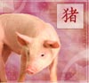 The Pig